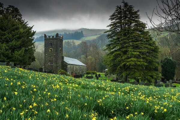 Chapel in a field with yellow irises