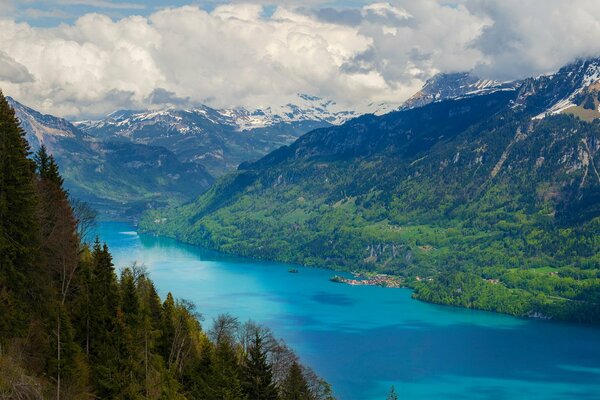 Fiume blu lungo le montagne e la foresta