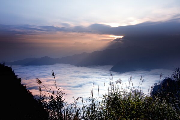 Brouillard épais sur les hauteurs des montagnes