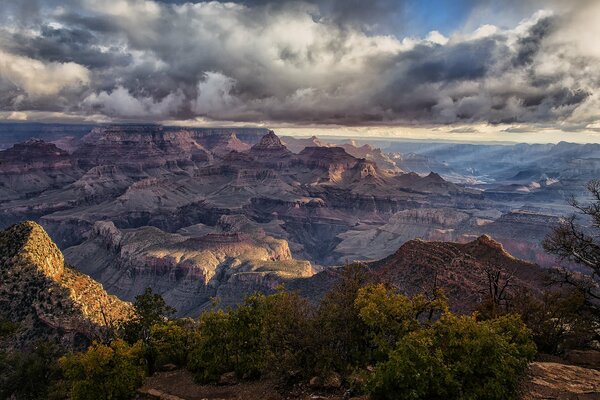 Vista in un parco nazionale nel Grand Canyon