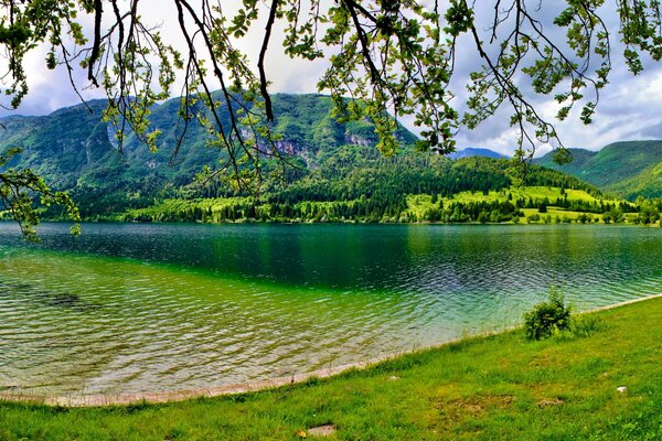 Однажды в Словении летом с зелеными деревьями и чистым озером