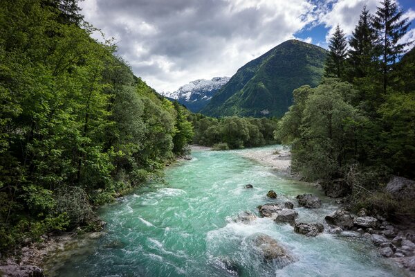 Rivière turquoise de montagne avec des pierres