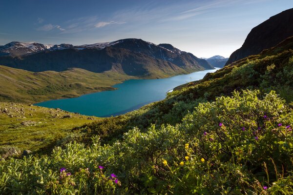 Foto von einem Rückgrat in Norwegen in der Nähe eines Sees