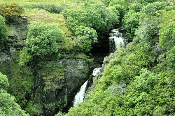 A beautiful waterfall overgrown with greenery