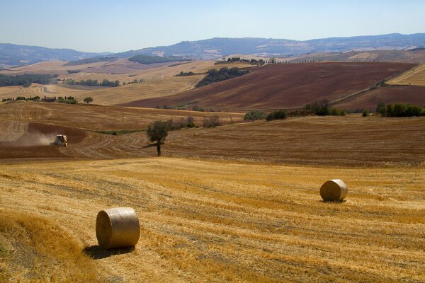 Limpieza de campos en Italia