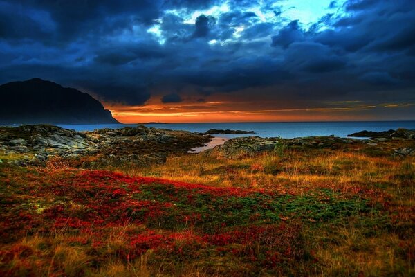 Coucher de soleil sombre sur une clairière colorée