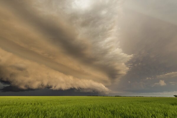 Ungewöhnliche Wolken über dem grünen Feld