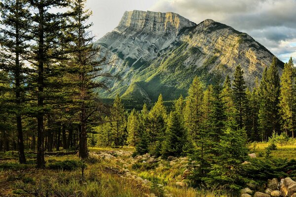 View of Mount Rundle in Banff National Park in Canada