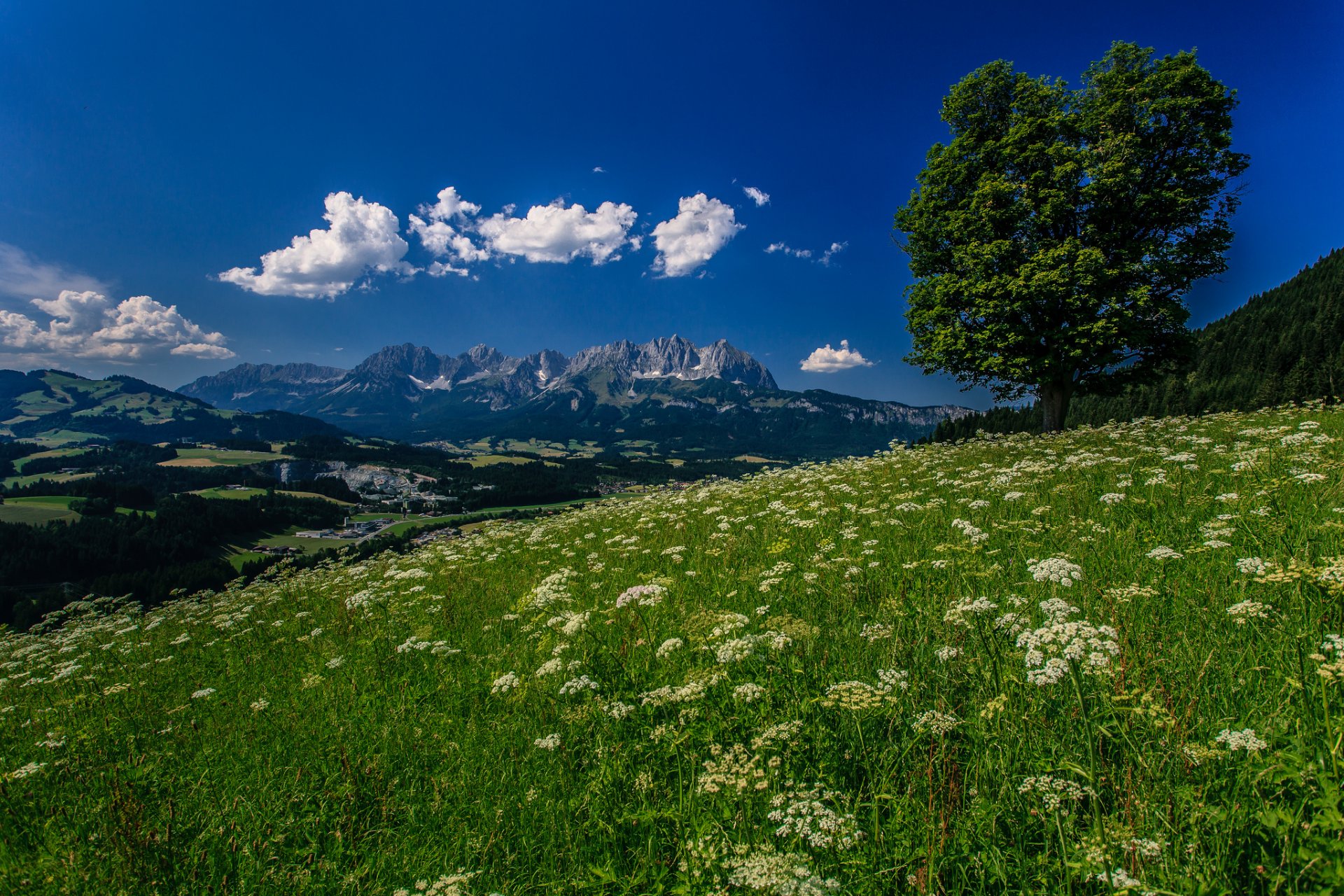 kitzbühel tirol austria alpes kitzbühel montañas árbol prado flores