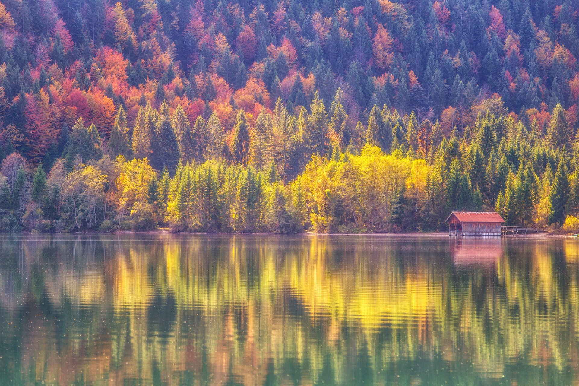 autumn forest lake reflection