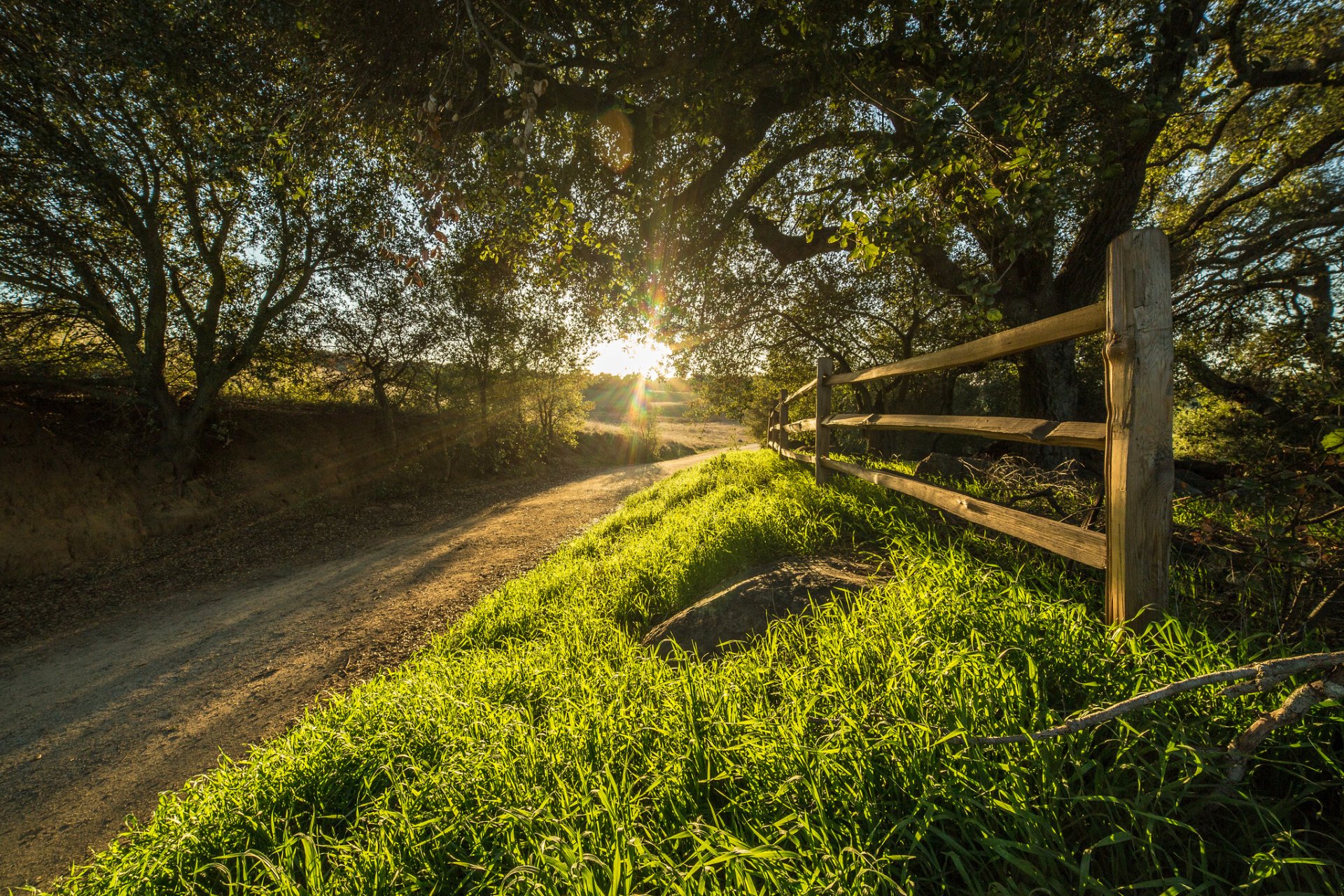 états-unis californie ranch santa rosa arbres route clôture soleil rayons