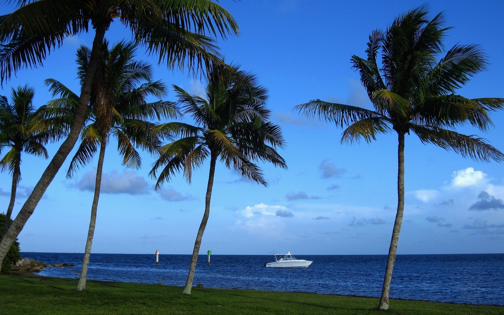 miami florida atlantic ocean palm boat coast tropic