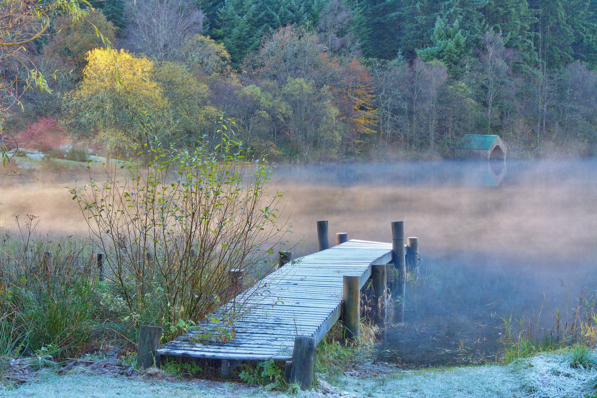 bosque río neblina puente otoño heladas escarcha