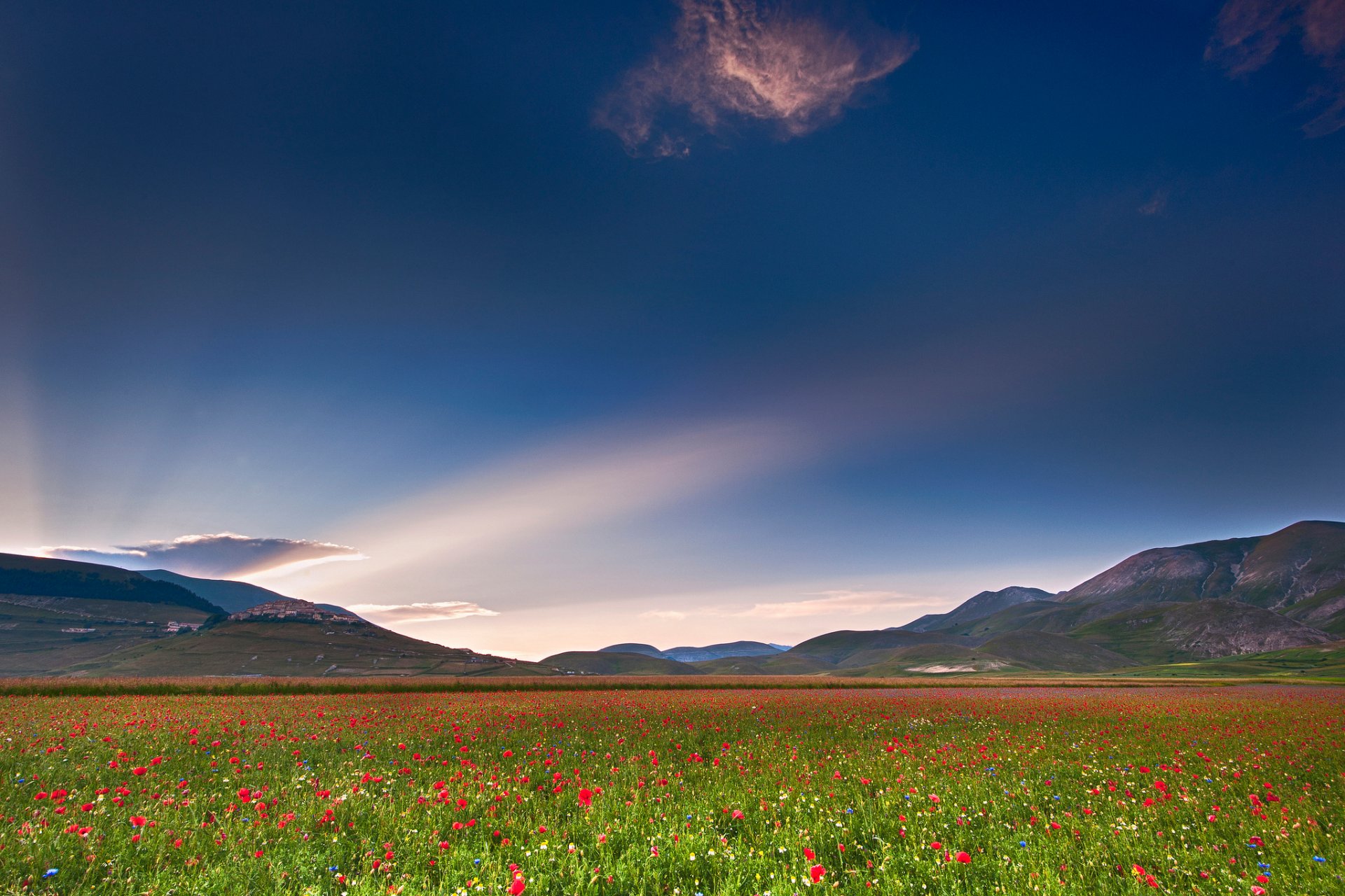 italia umbría campo amapolas cielo luz nube