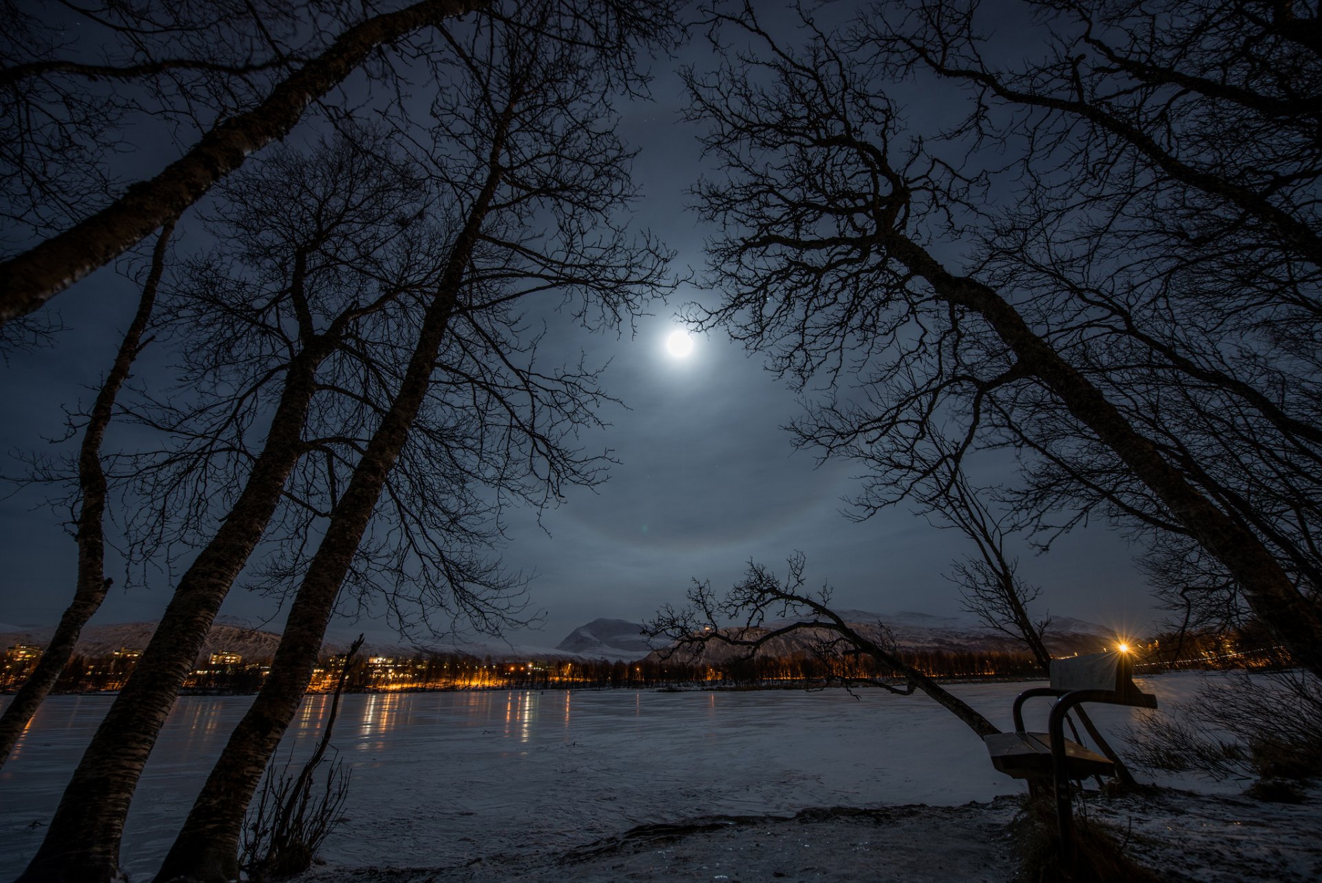 miasto park ławka jezioro zima noc księżyc światła