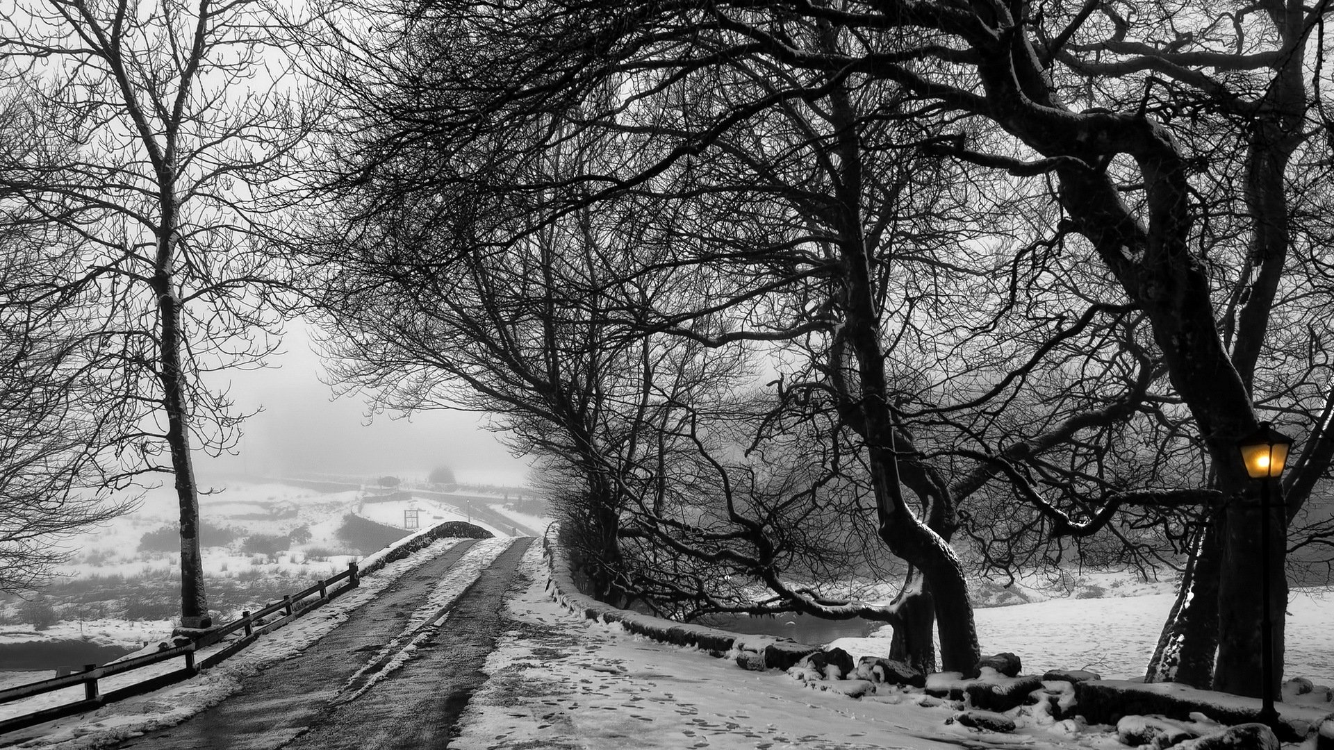 straße bäume winter landschaft