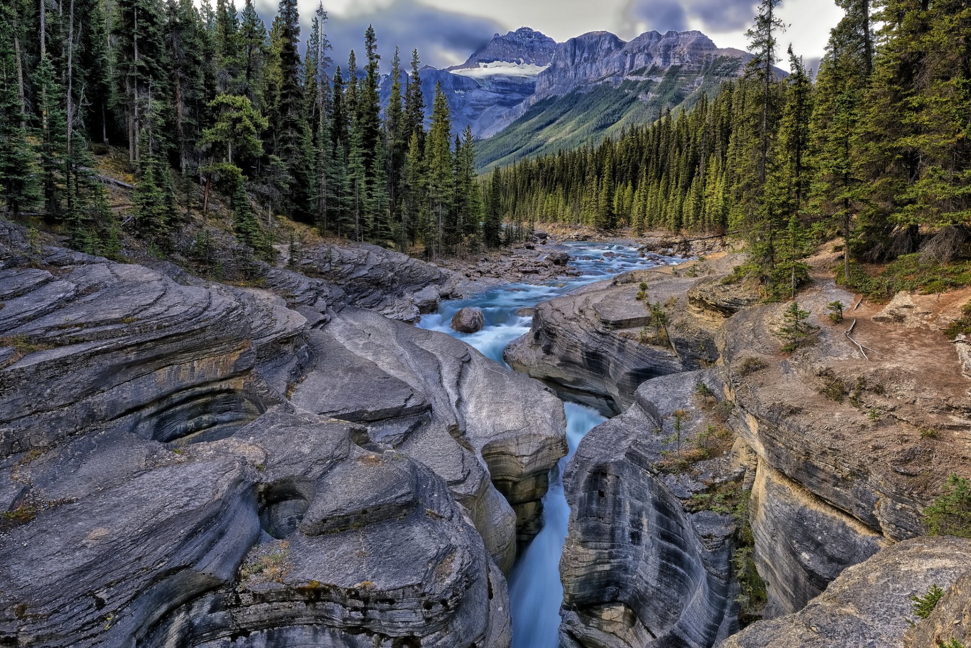 montagnes forêt rivière roches ruisseau