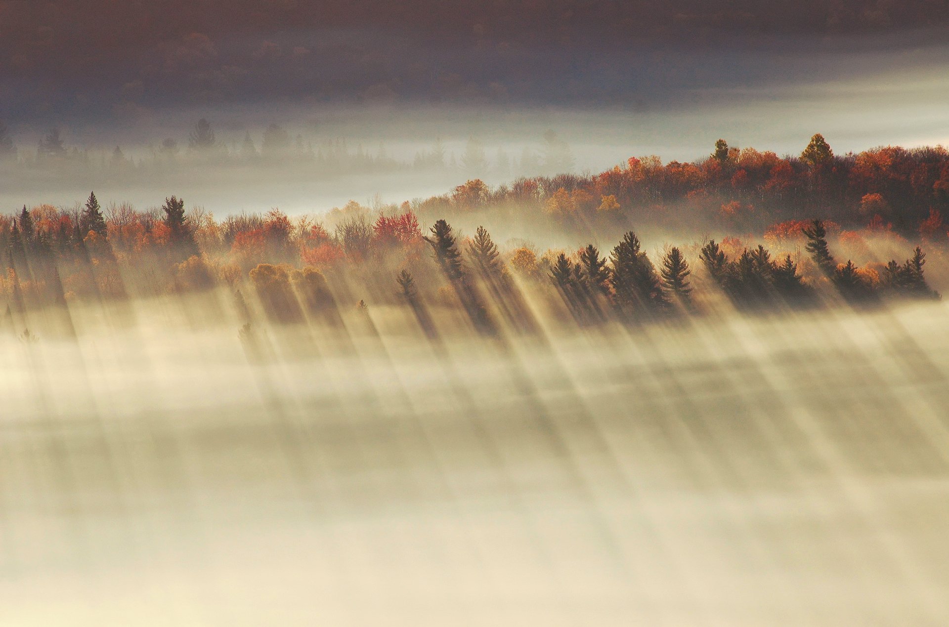 mattina valle autunno raggi luce