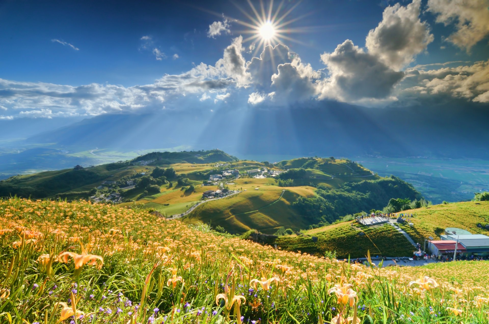 montagnes pente fleurs lys soleil nuages rayons