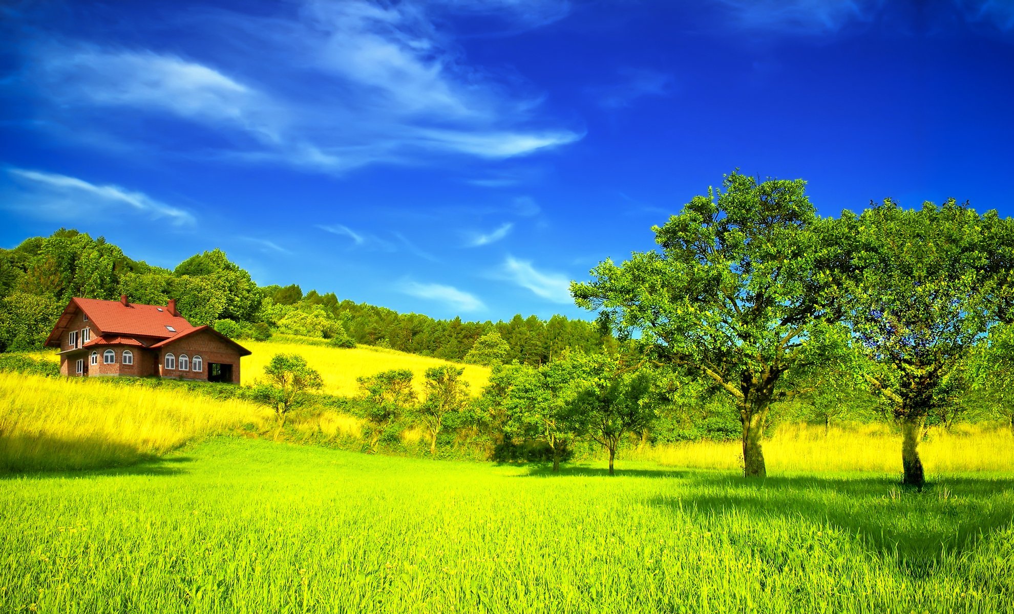 été maison champ arbres ciel nuages été buissons