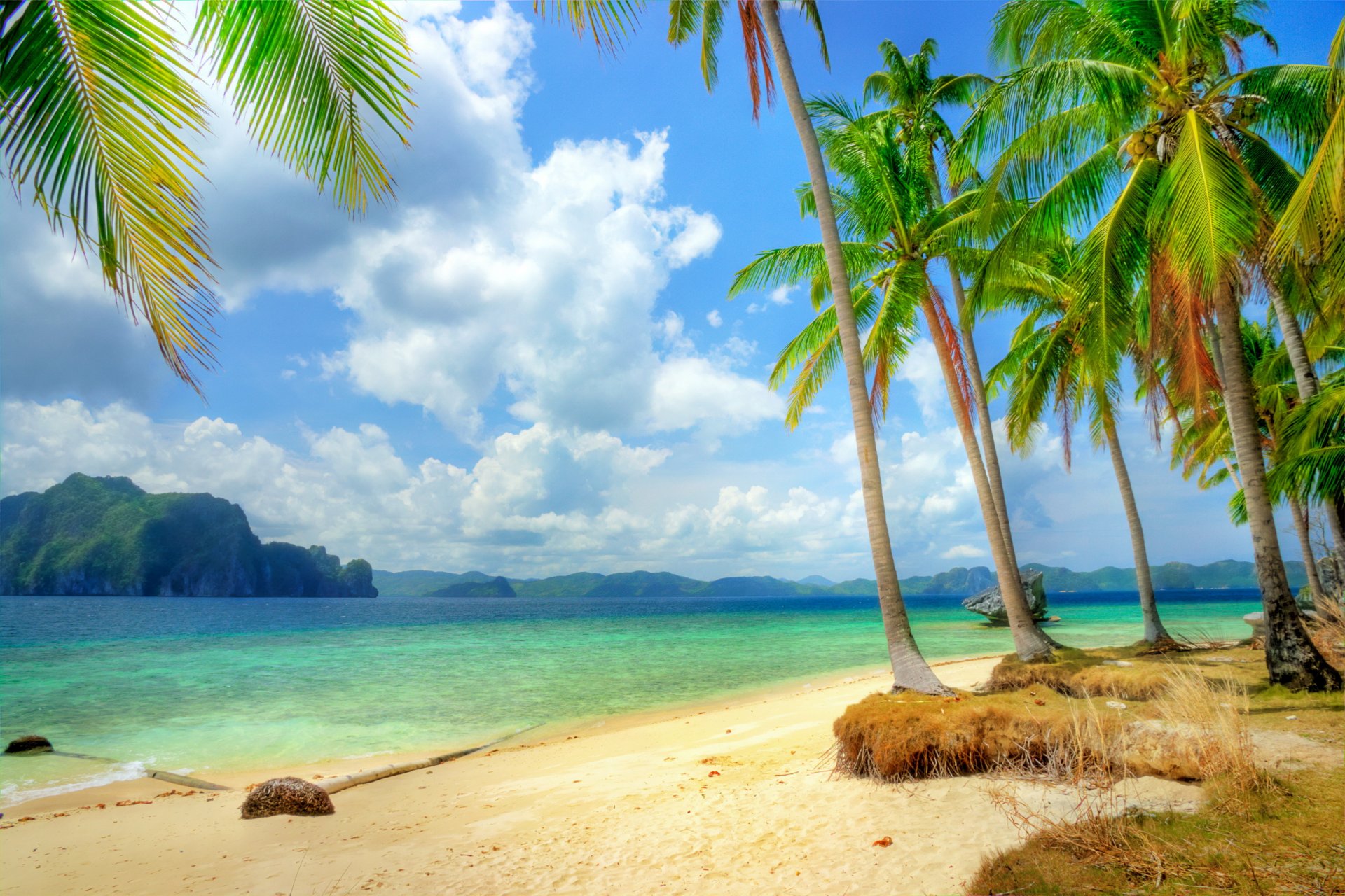 tropical paradis plage côte mer bleu émeraude océan palm été sable loisirs tropiques soleil île rivage