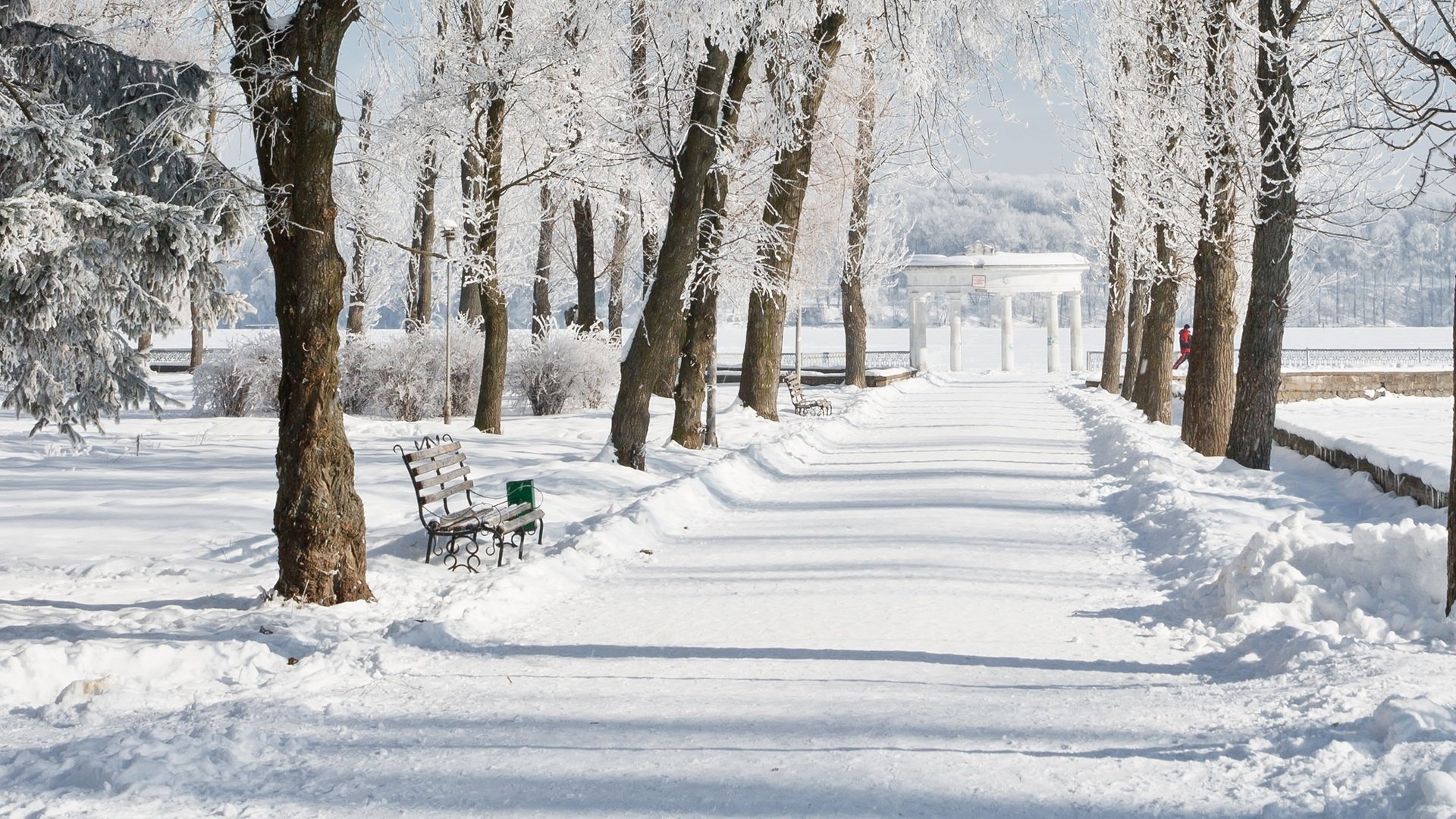 inverno neve parco