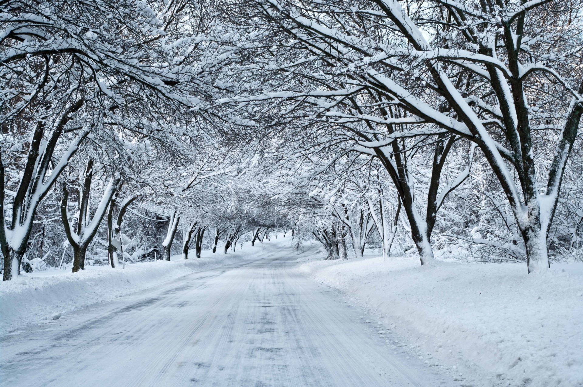 road snow forest winter