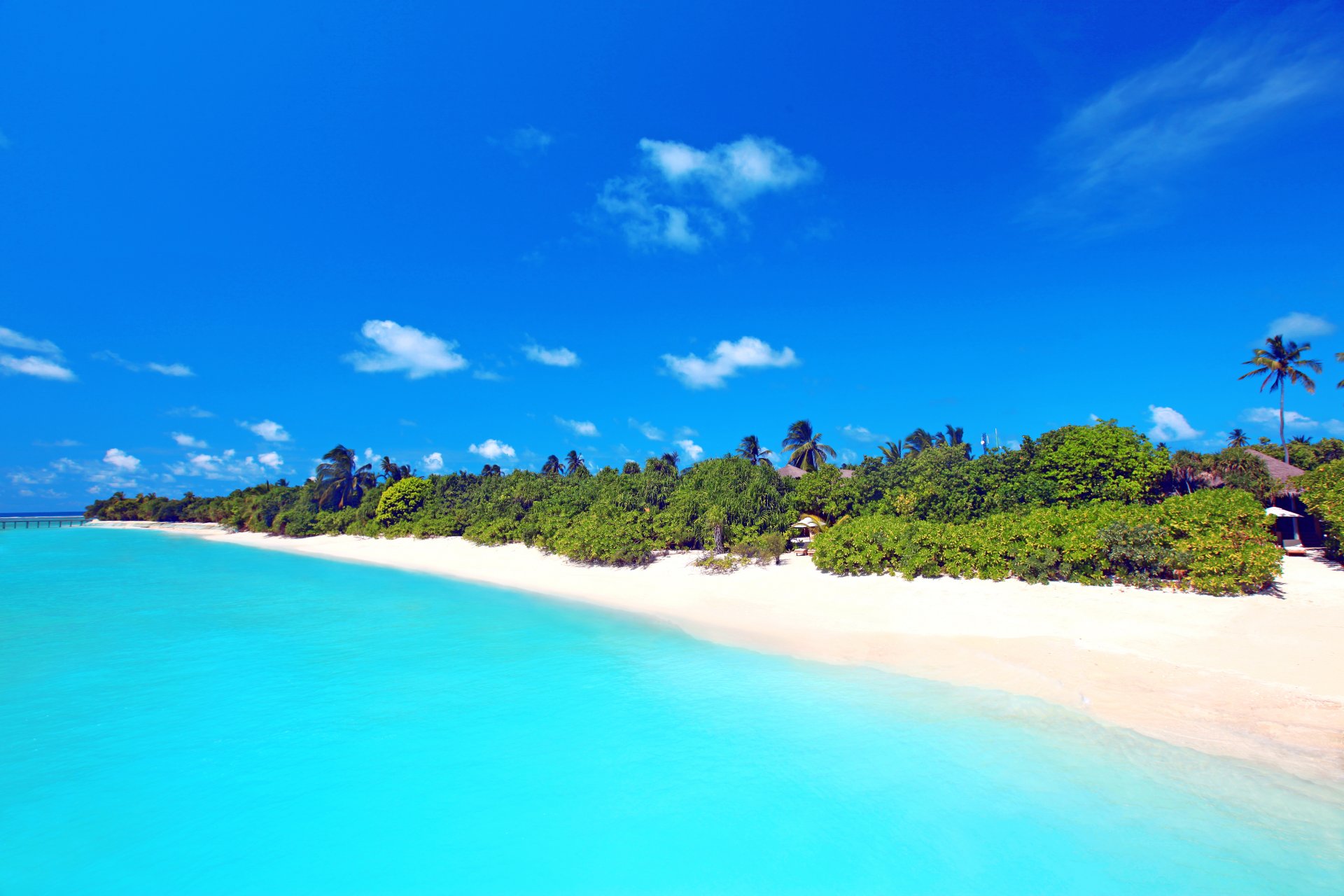 ciel mer sable plage palmier bungalow maldives