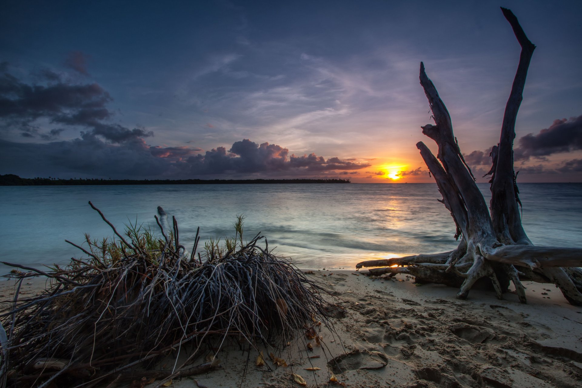 beach sea gulf sunset