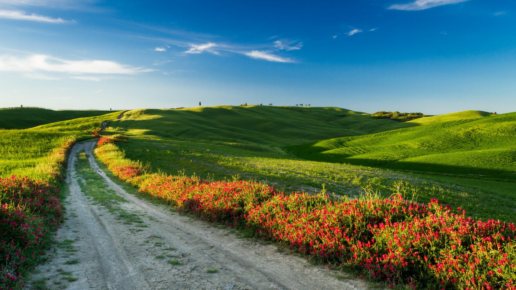 toskana italien feld landschaft straße