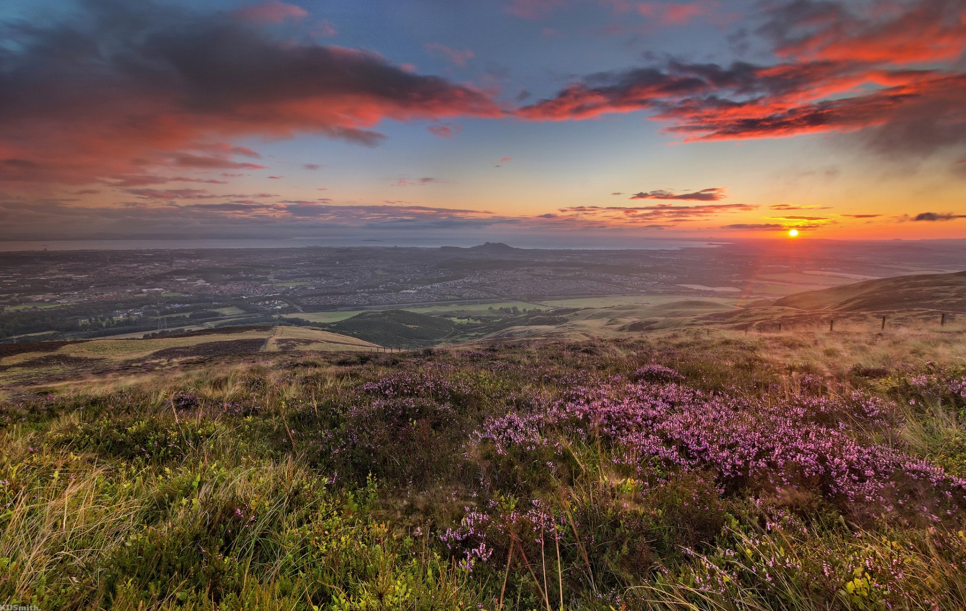 hills the field flower coast sun dawn