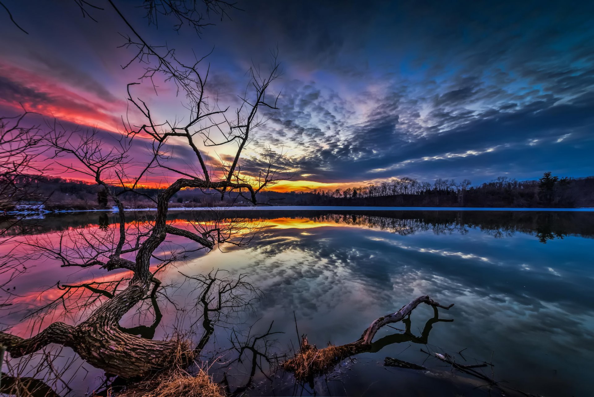 lac eau arbre branches soir coucher de soleil nuages ciel nature paysage