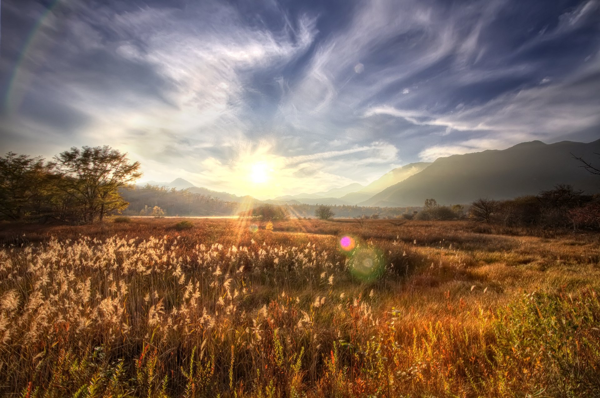 montagnes arbres champ soleil rayons éblouissement