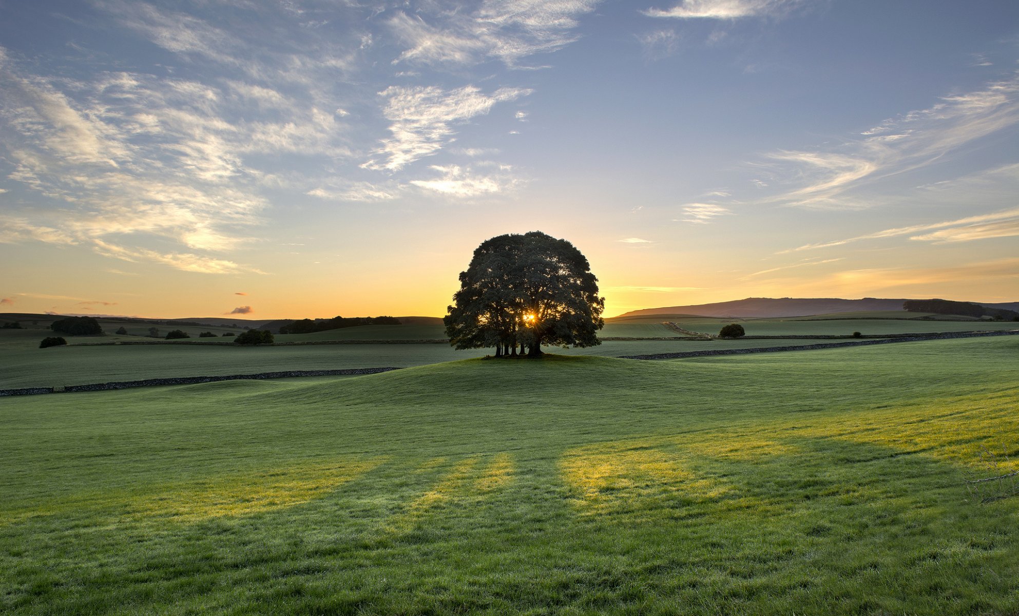 bell sillon angleterre arbre aube lever du soleil matin pré