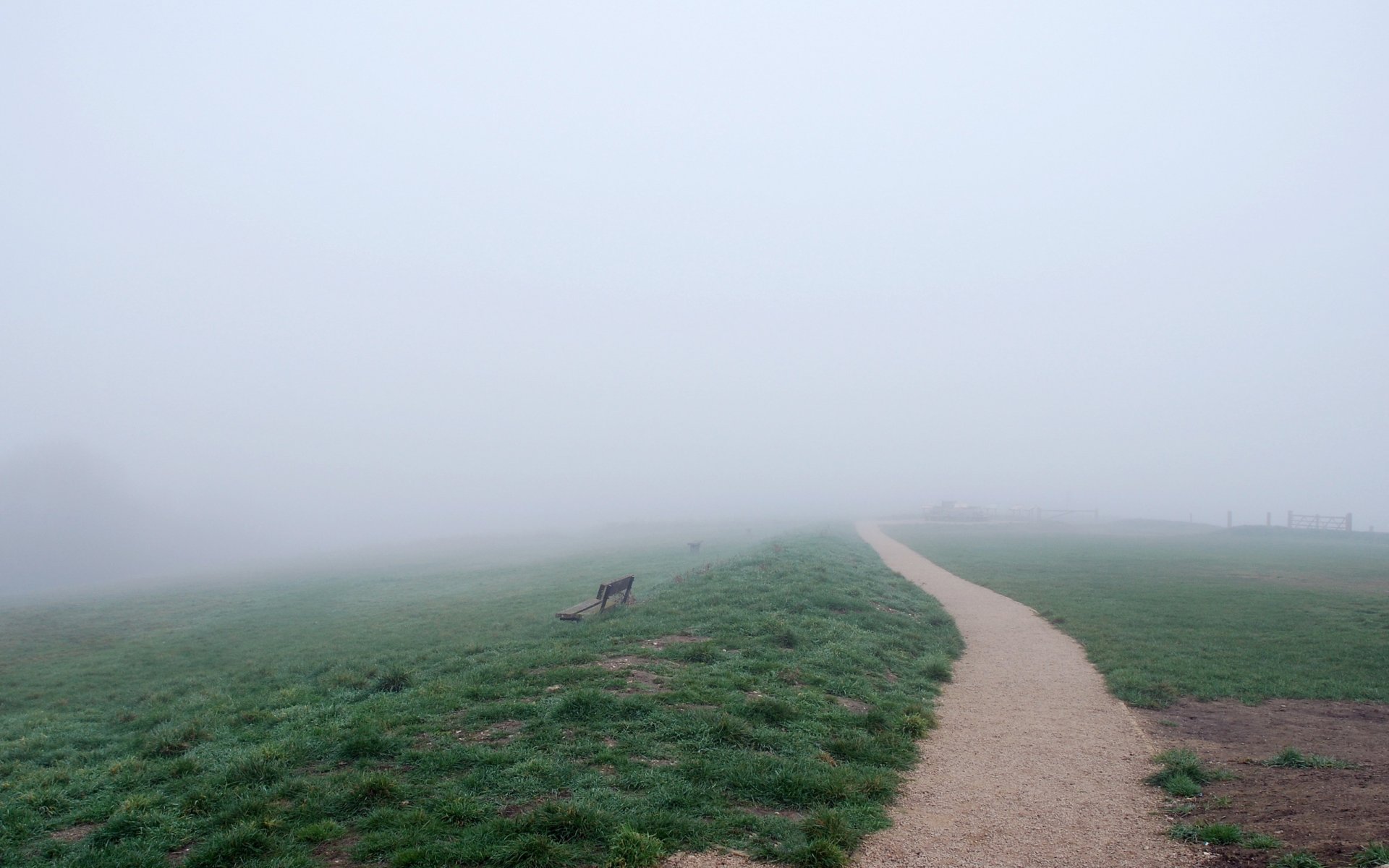 the field road bench fog nature