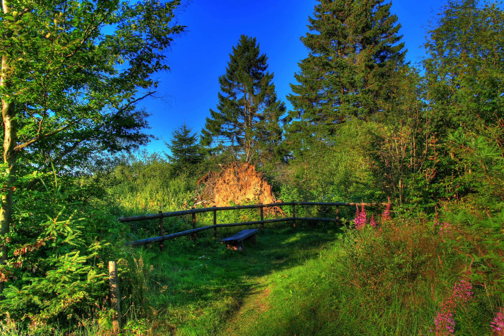 krajobraz niemcy lato hesja natura