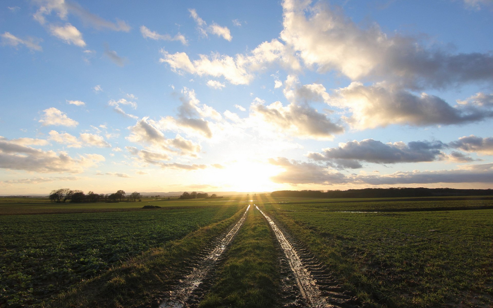 morning the field landscape