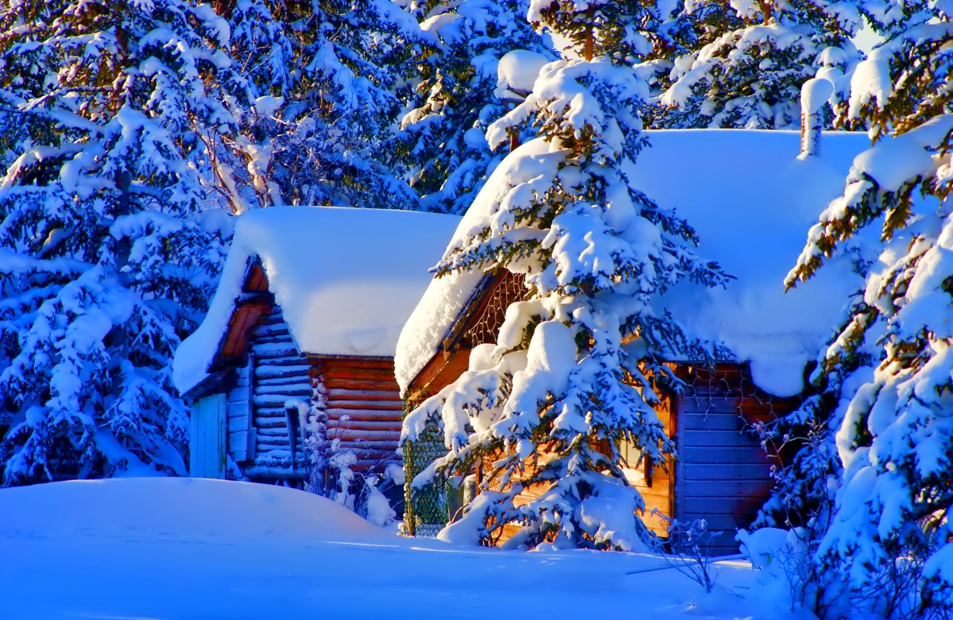 inverno casa neve abete rosso natura foto