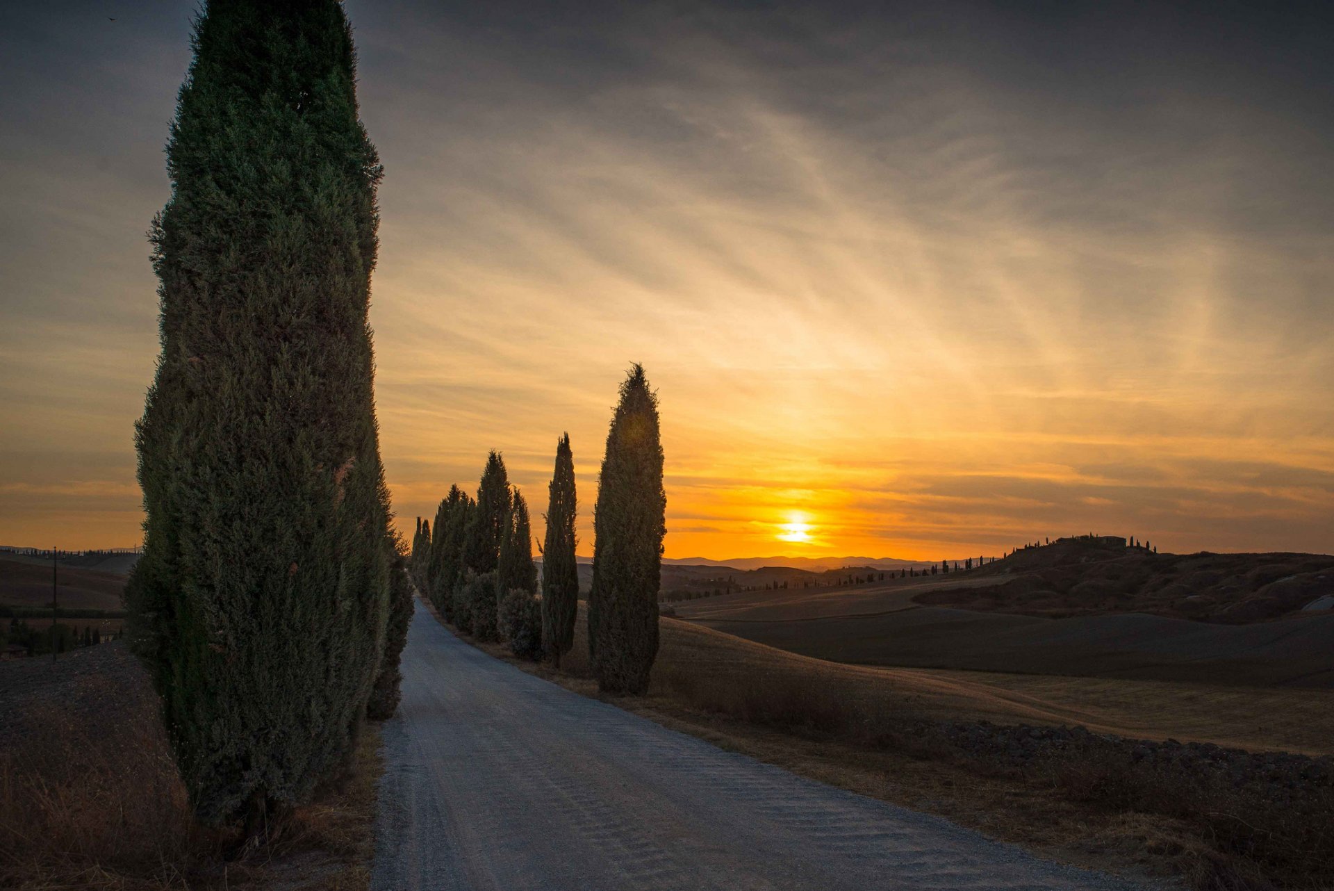 italie toscane route cyprès soir coucher de soleil