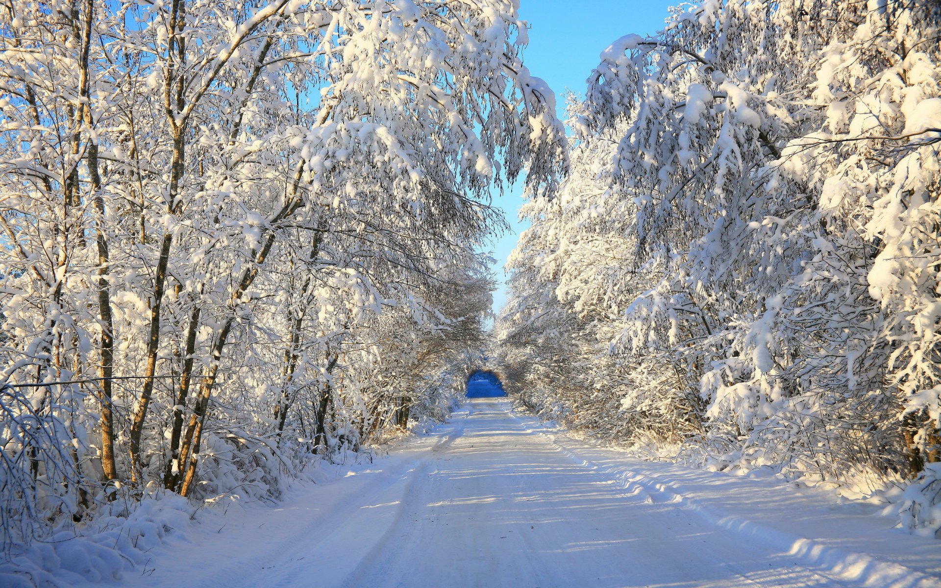 зима снег пейзаж