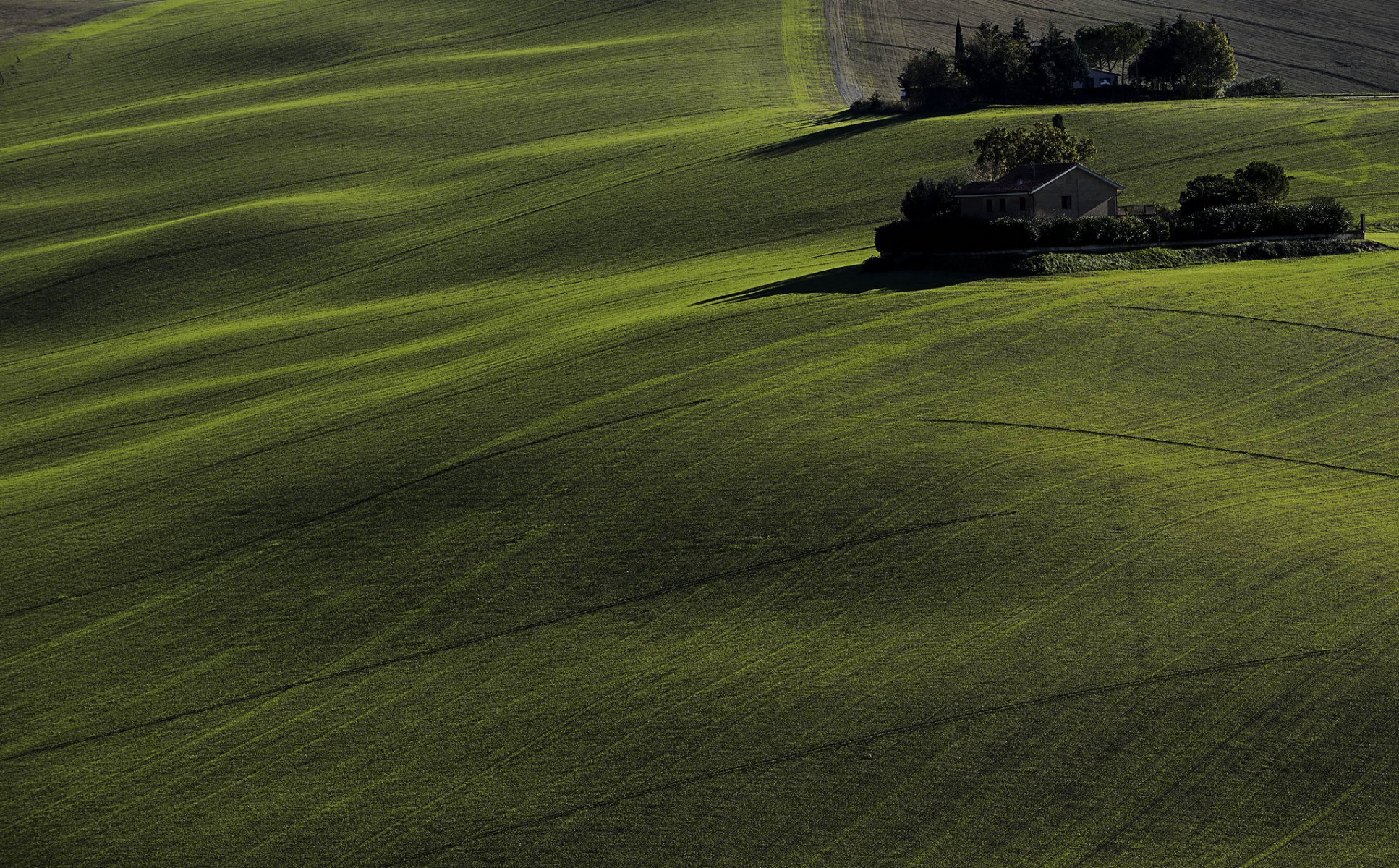 campi vegetazione case alberi