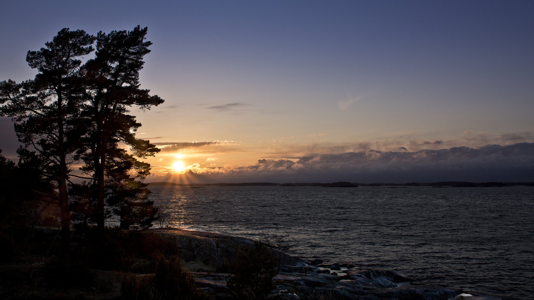 lake tree horizon clouds sun sunset