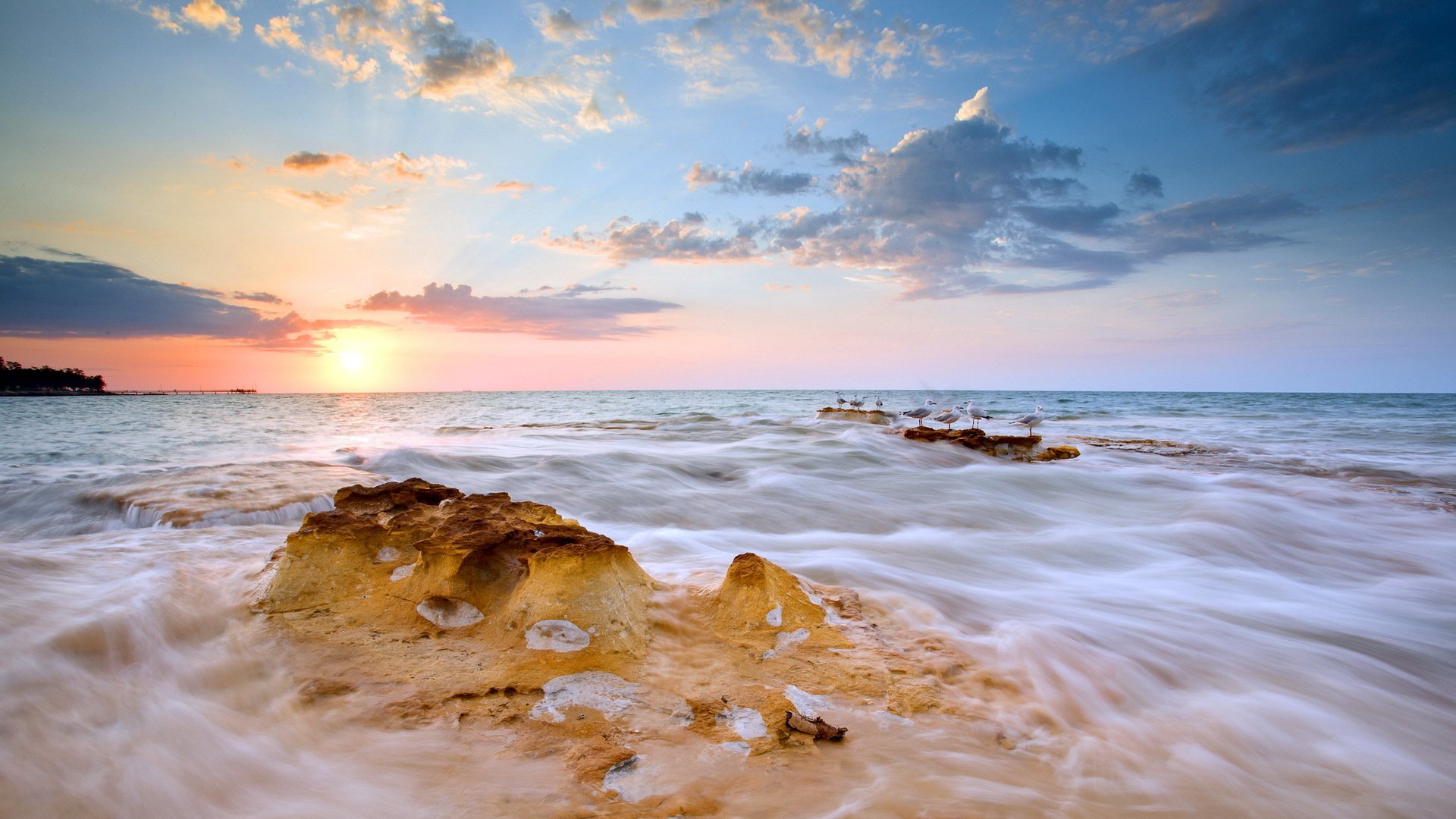 unset sea birds landscape