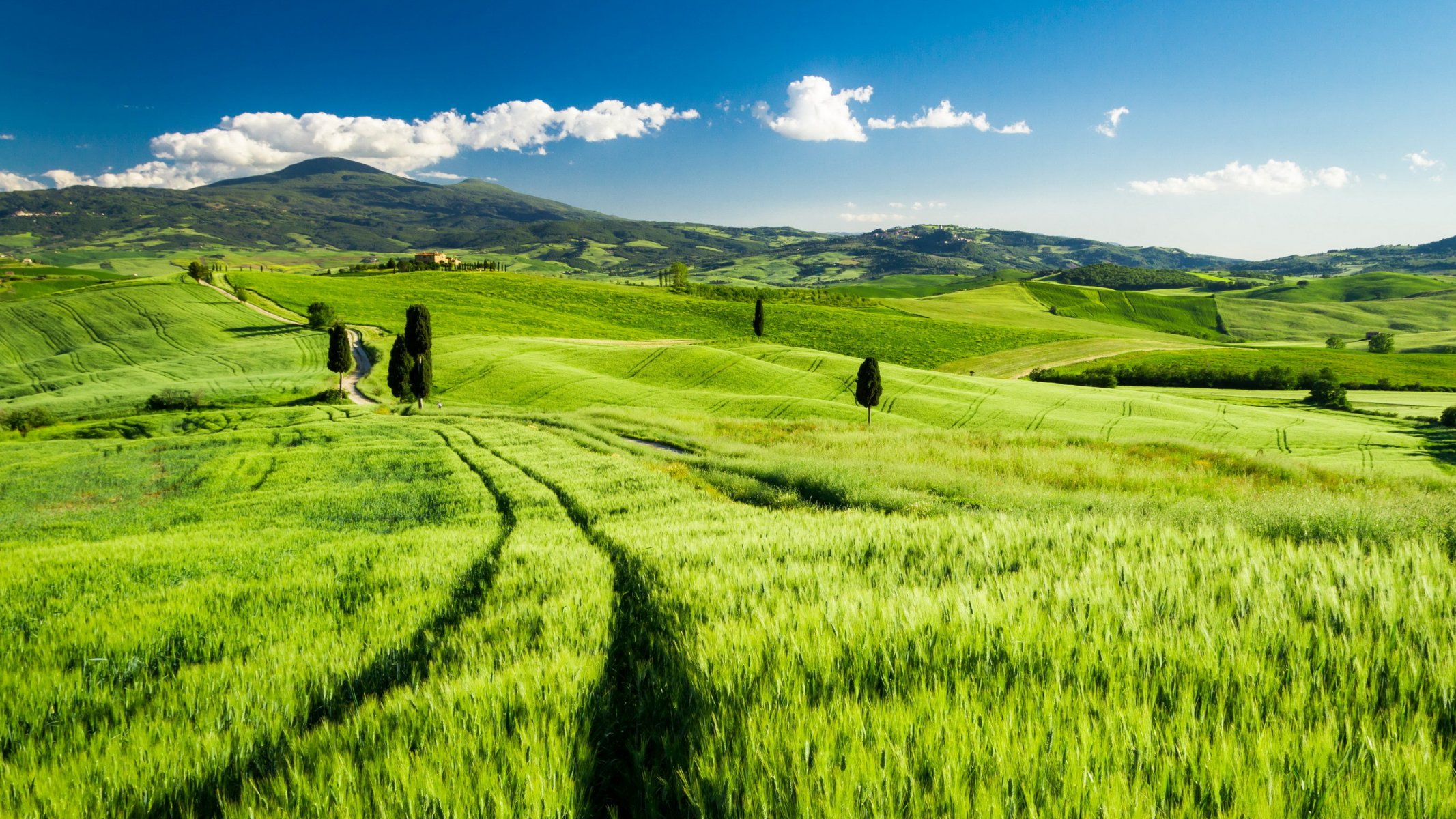 tuscany italy the field landscape