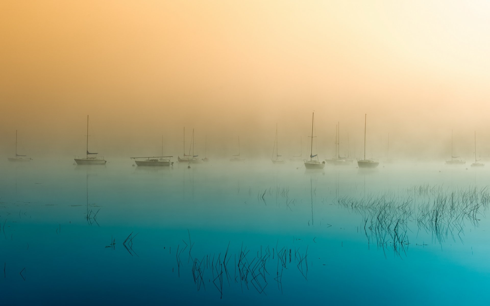 matin lac brouillard bateaux paysage