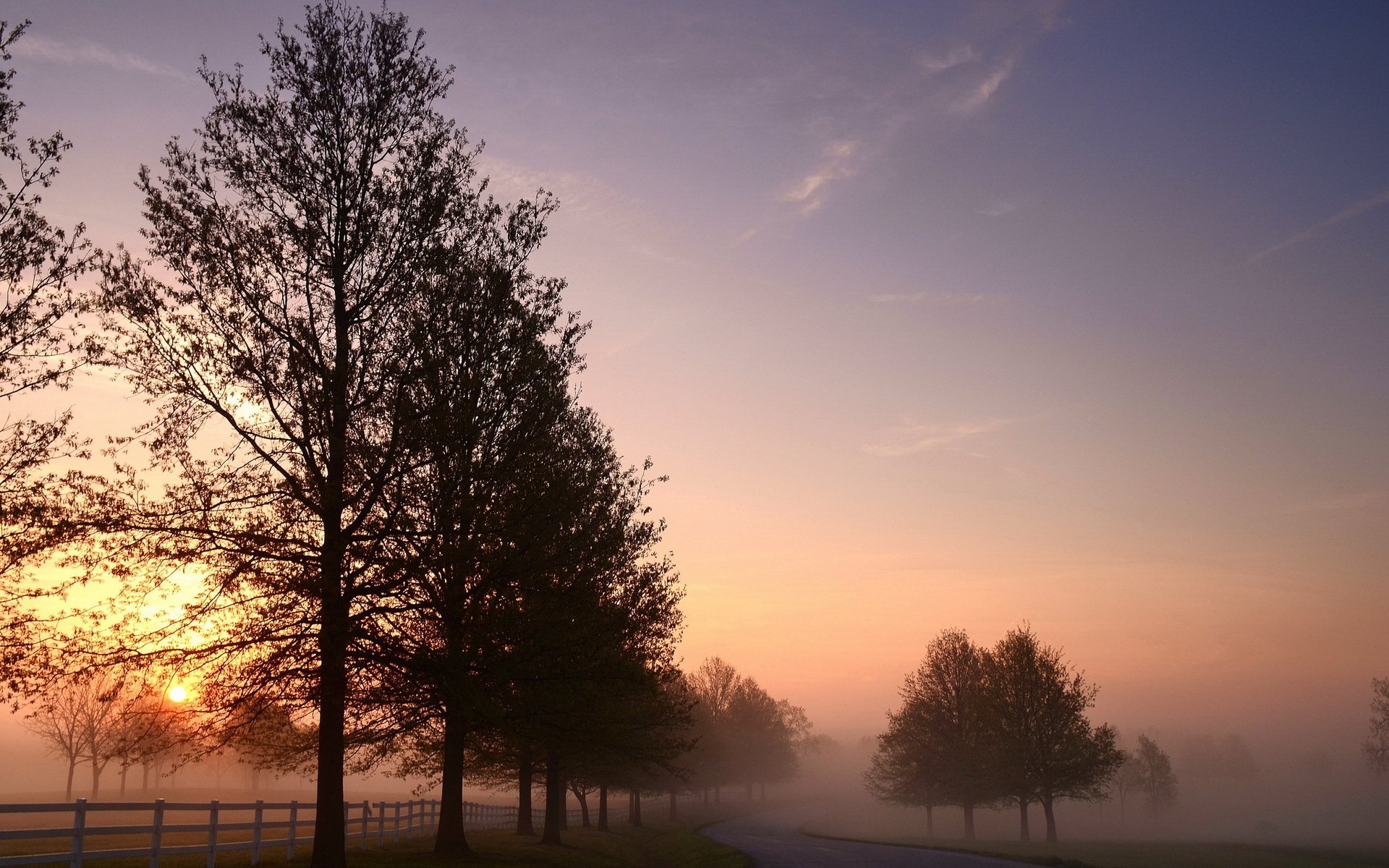 mattina strada nebbia paesaggio