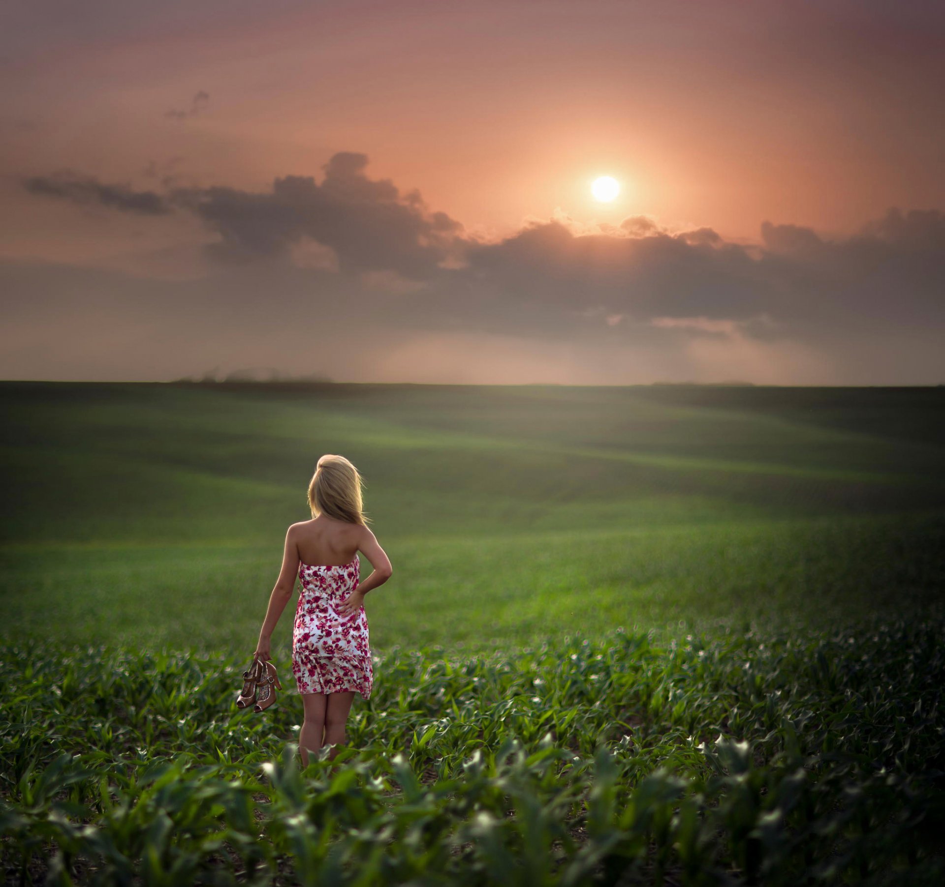 feld weite sonne mädchen