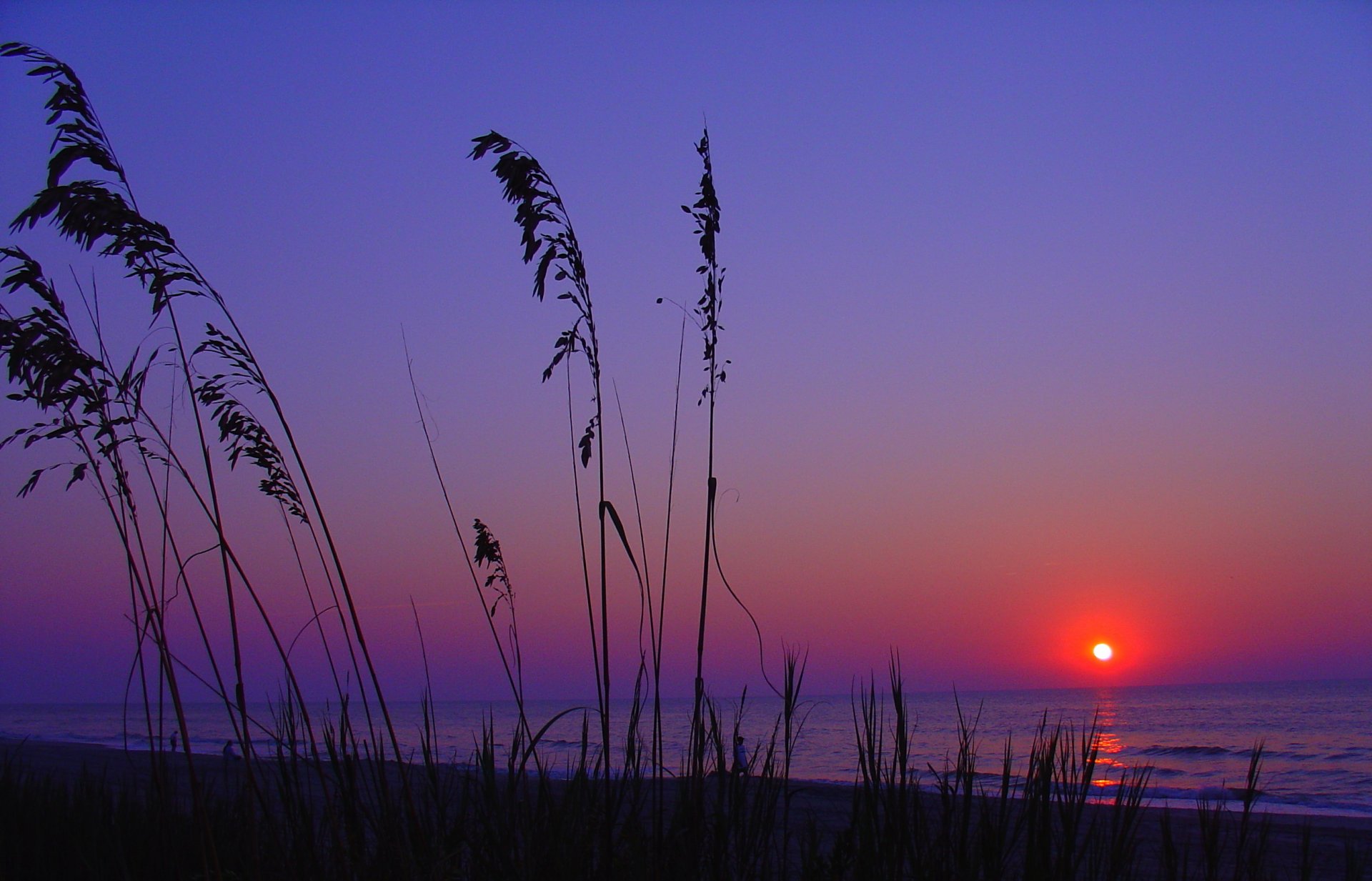 beach sea sunset nature landscape