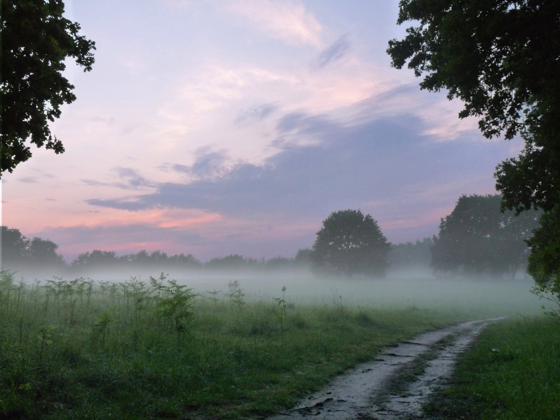 feld wald straße landschaft natur