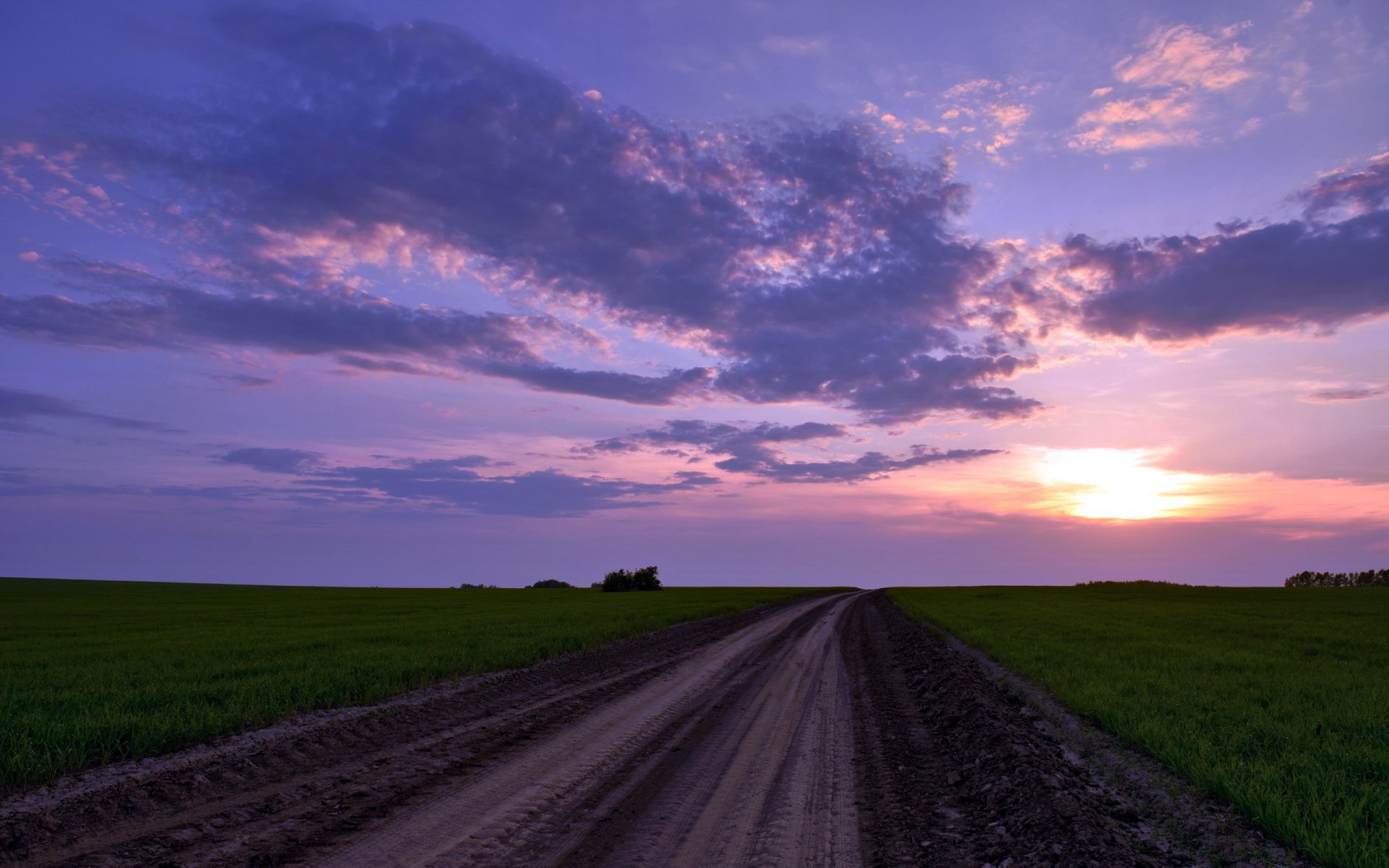 the field road nature landscape